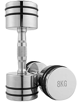 Гантель хромована WorldSport 80034D-8 (8 кг)