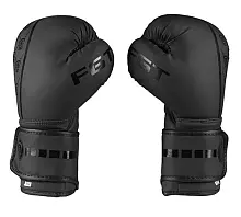 Боксерські рукавички FGT FT-3310