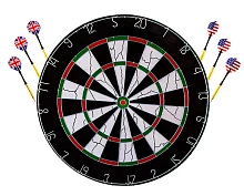 Дартс з мішенню для дротиків із щетини worldsport BL-1818B