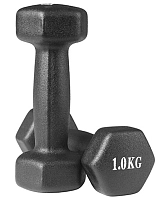 Гантелі для фітнесу WorldSport 80024-N1 (2 шт.) 1 кг