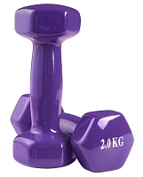 Гантелі для фітнесу WorldSport 80022-V2 (2 шт. по 2 кг)