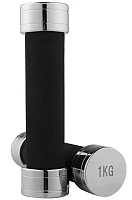 Гантель хромована WorldSport 80019-1 (1 кг)