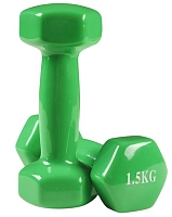 Гантелі для фітнесу WorldSport 80022-V15 (2 шт. по 1.5 кг)