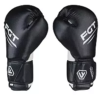 Боксерські рукавички FGT collection FT-2156
