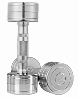 Гантель хромована WorldSport 80020-10 (10 кг)
