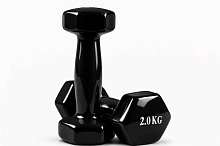 Гантелі для фітнесу WorldSport 80022-V2 (2 шт. по 2 кг)