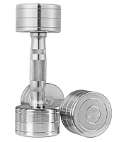 Гантель хромована WorldSport 80020-8 (8 кг)