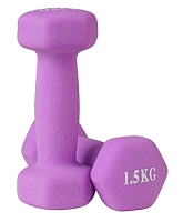 Гантелі для фітнесу WorldSport 80024-N15 (2 шт.) 1.5 кг