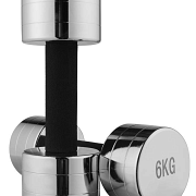 Гантель хромована WorldSport 80019-6 (6 кг)