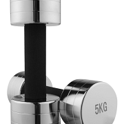 Гантель хромована WorldSport 80019-5 (5 кг)