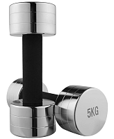 Гантель хромована WorldSport 80019-5 (5 кг)