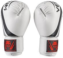 Боксерські рукавички Venum VM55