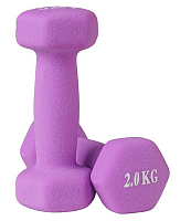 Гантелі для фітнесу WorldSport 80024-N1 (2 шт. по 2 кг.)