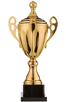 Кубок worldsport 4060С h=39см