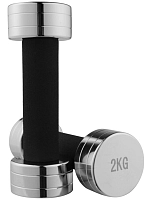Гантель хромована WorldSport 80019-2 (2 кг)
