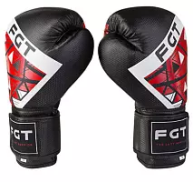 Боксерські рукавички FGT FT-2518