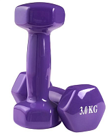 Гантелі для фітнесу WorldSport 80022-V3 (2 шт. по 3 кг)
