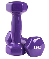 Гантелі для фітнесу WorldSport 80022-V1 (2 шт.) 1 кг